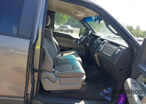 2010 Ford F-150 Fx4/Lariat/Xl/Xlt z USA, uszkodzony, nr VIN 1FTFX1EV5AFB63662